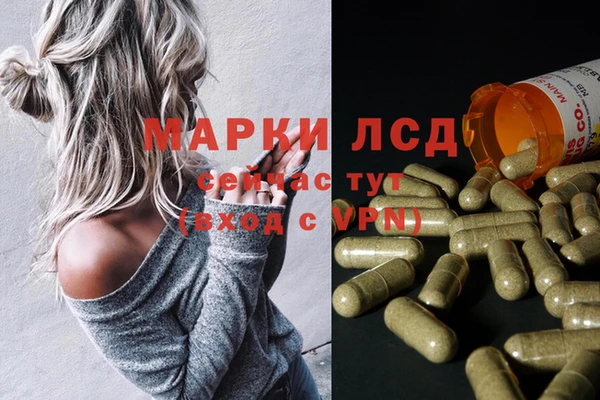 гидропоника Дмитров